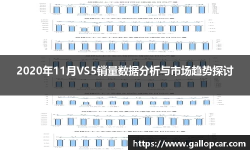 2020年11月VS5销量数据分析与市场趋势探讨